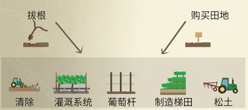 酿造物语中文版