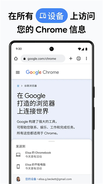 谷歌Chrome