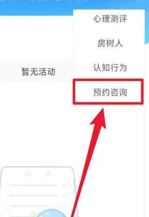 心灵伙伴心理云平台图10