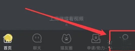 哈啰街猫app12