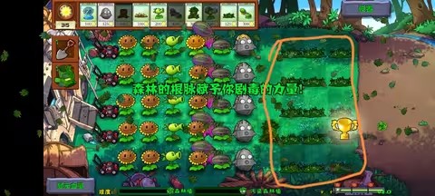 植物大战僵尸群系版