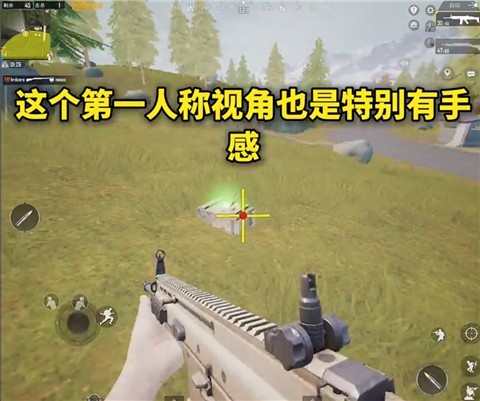 画质MxPro最新版