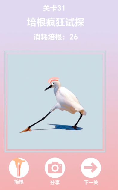 沙雕培根