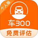 车300