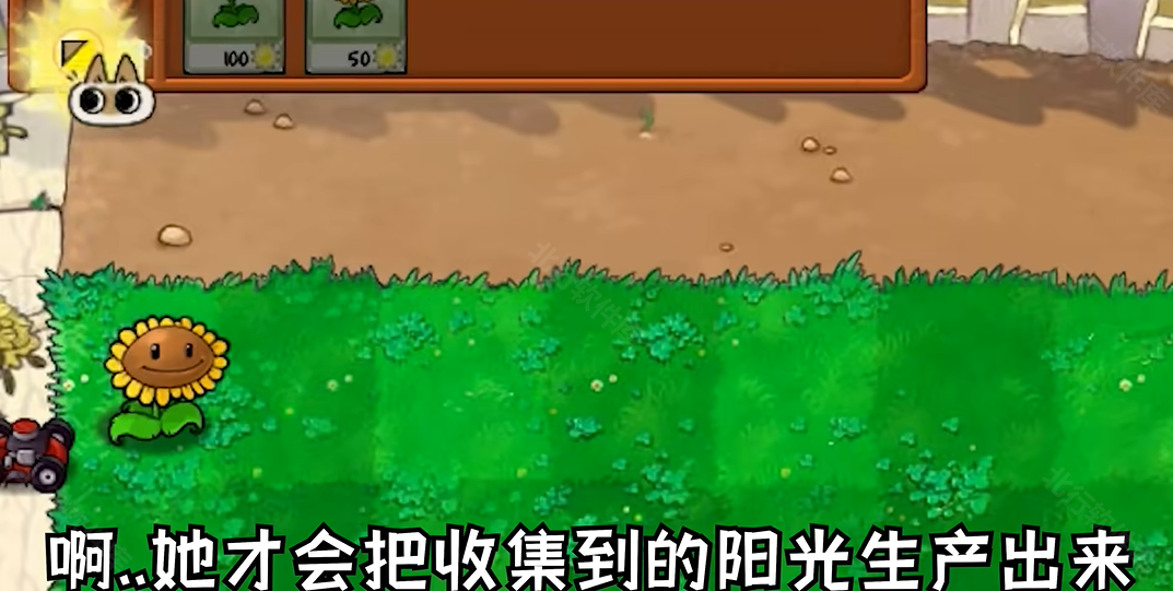 植物大战僵尸繁琐版