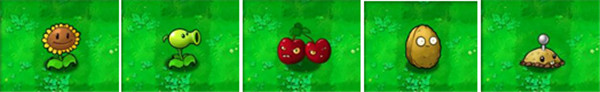 植物大战僵尸繁琐版