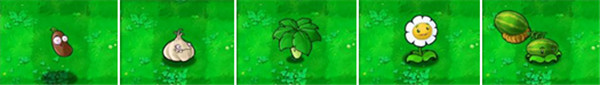 植物大战僵尸繁琐版