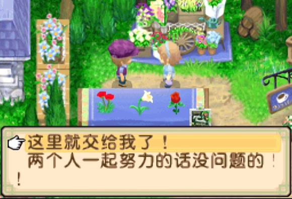 牧场物语双子村