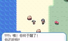 口袋妖怪无名