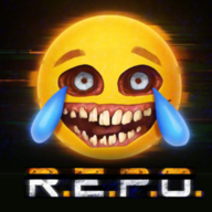 repo国际服
