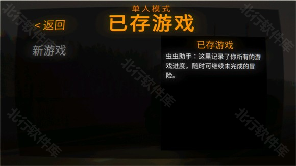 repo国际服