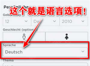 罗布乐思中文版
