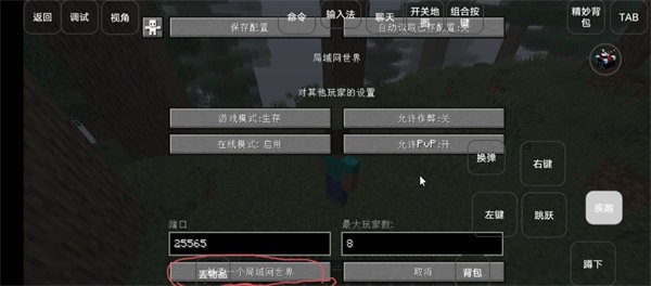 我的世界雾中人生存