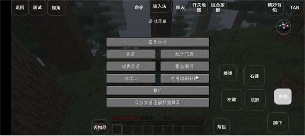 我的世界雾中人生存