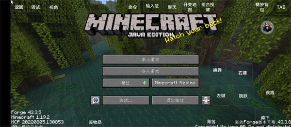 我的世界雾中人生存