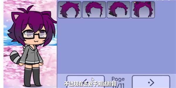 加查樱花