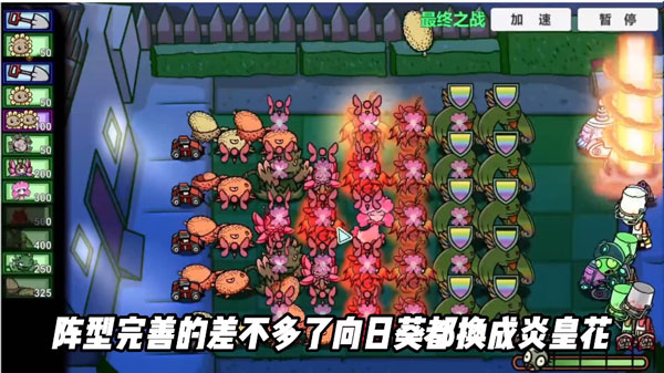 pvzbt拓展版
