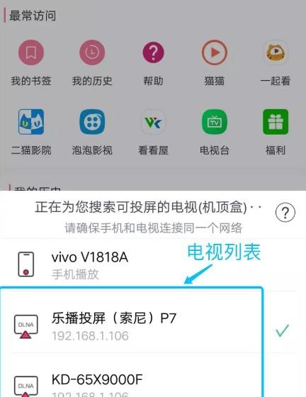 投屏助手15