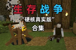 生存战争模组大全