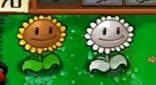 PVZ增强版