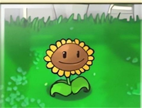 PVZ增强版