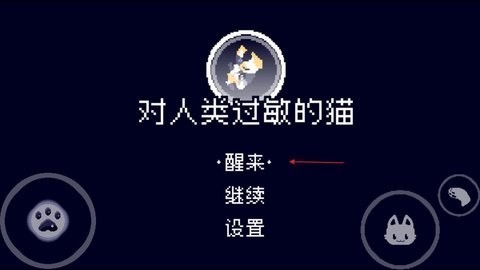 对人类过敏的猫