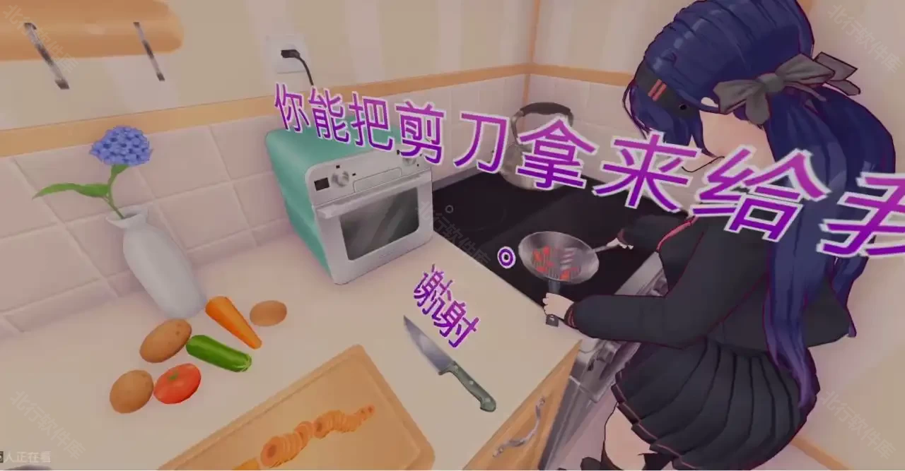 虚拟女友米塔