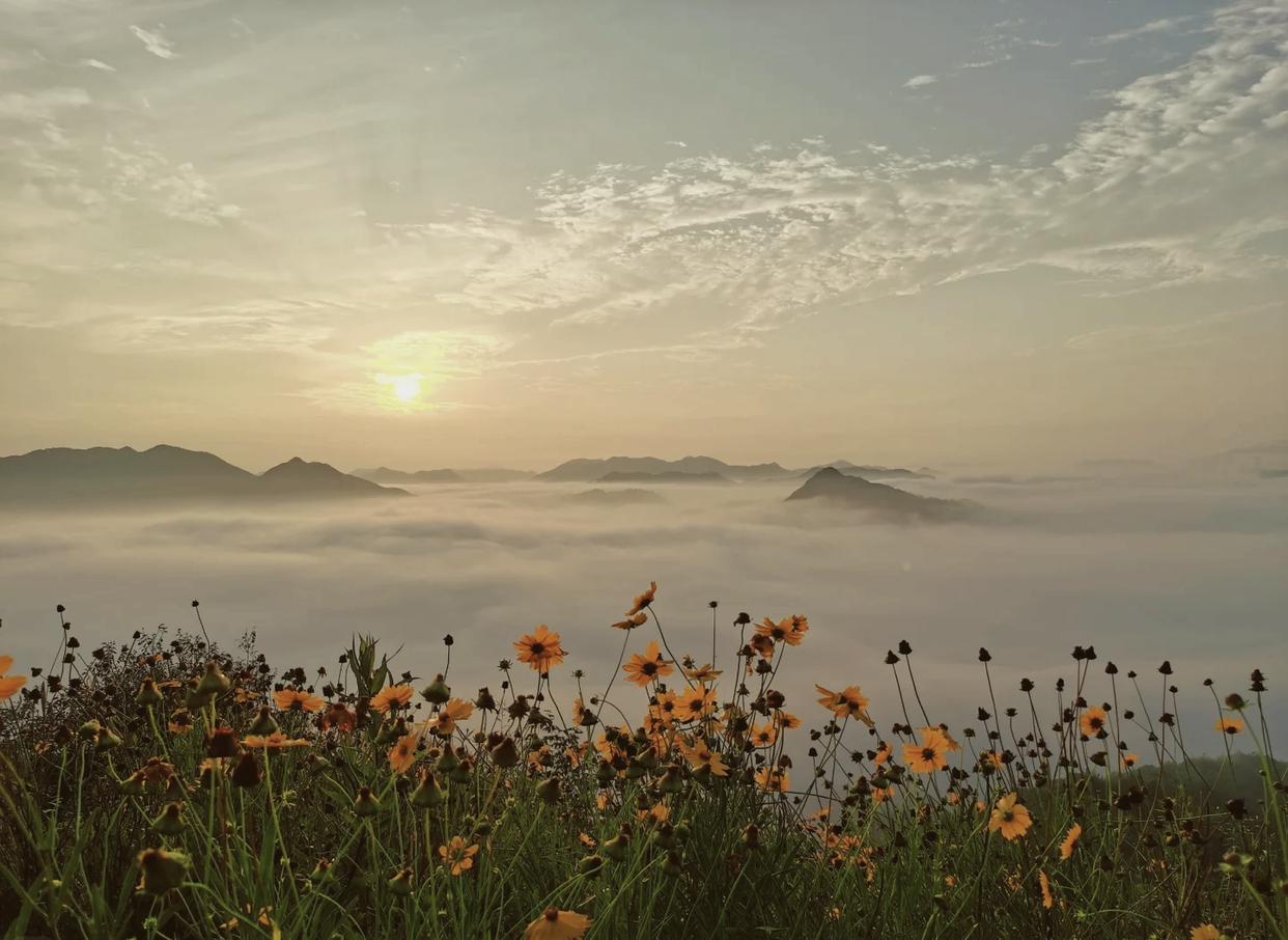 莉景天气