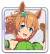 赛马娘青春杯