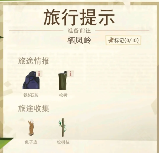 边境之旅国际服
