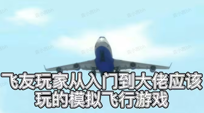 模拟飞行游戏