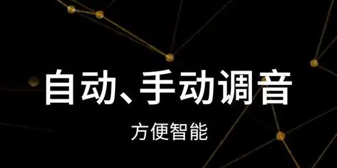 专业调音器软件
